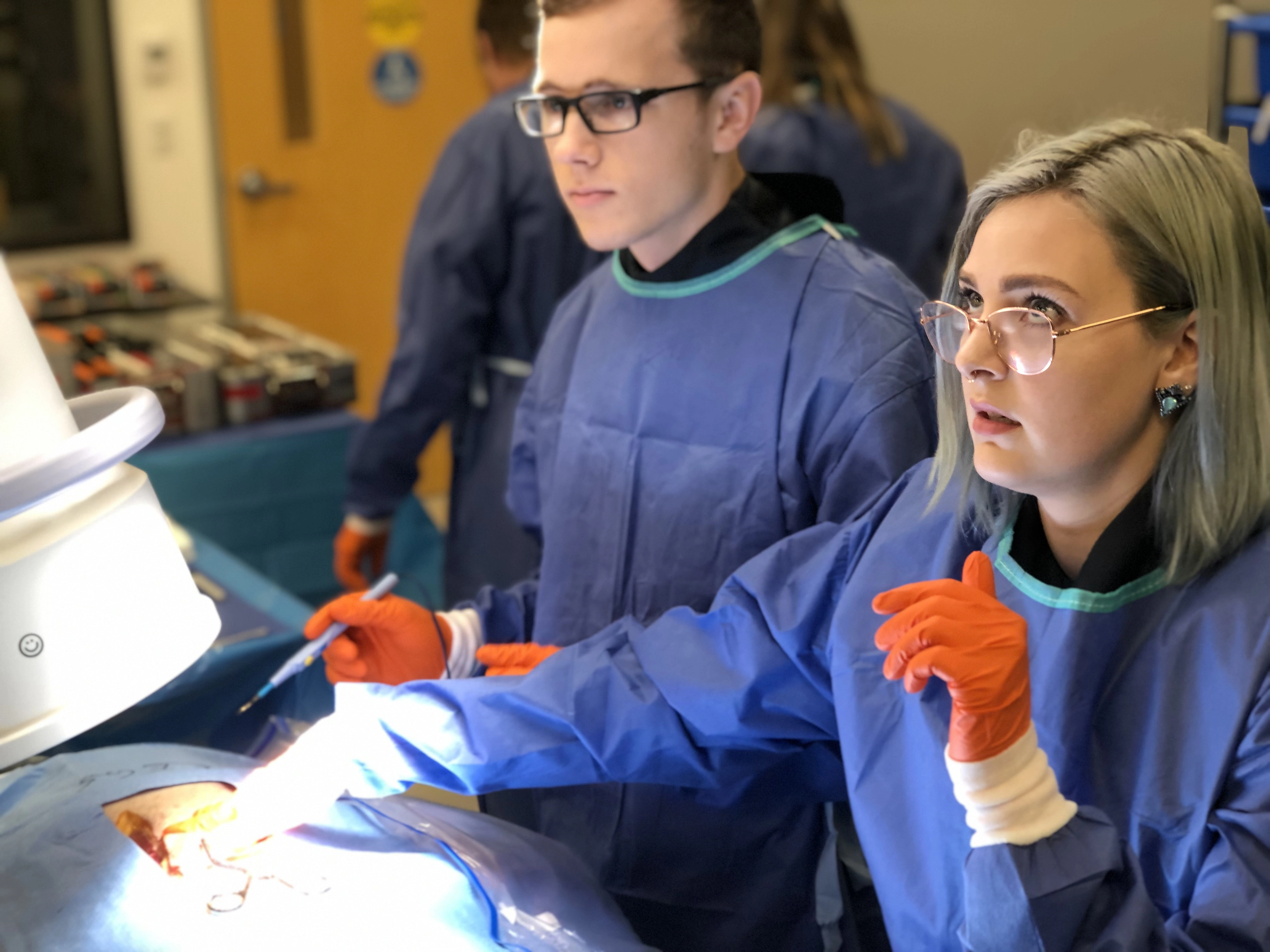 Biomedical students assist faculty entering data into a computer.