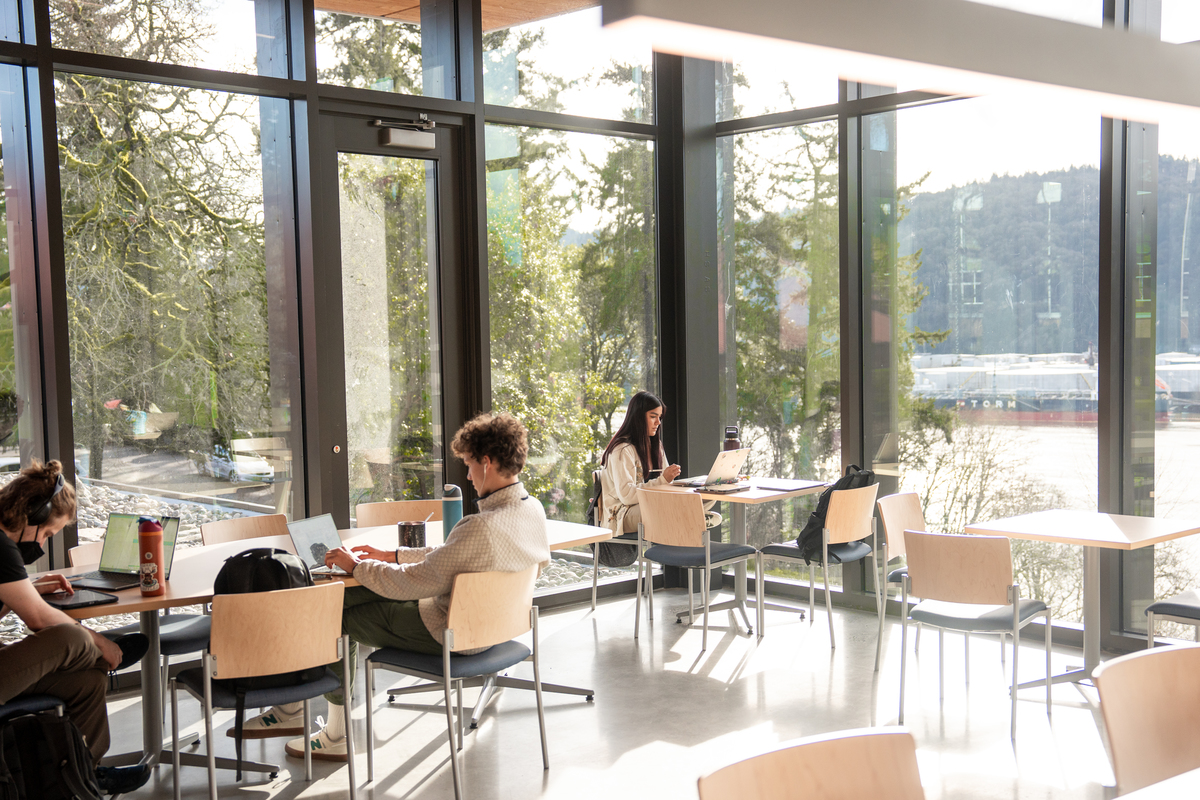 Sunlight streams through the windows onto students studying in the Shiley Marcos lobby