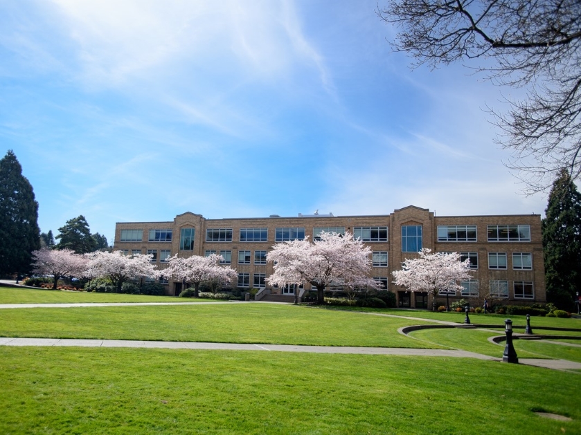 The exterior of Shiley Hall surrounded by blossoming cherry trees