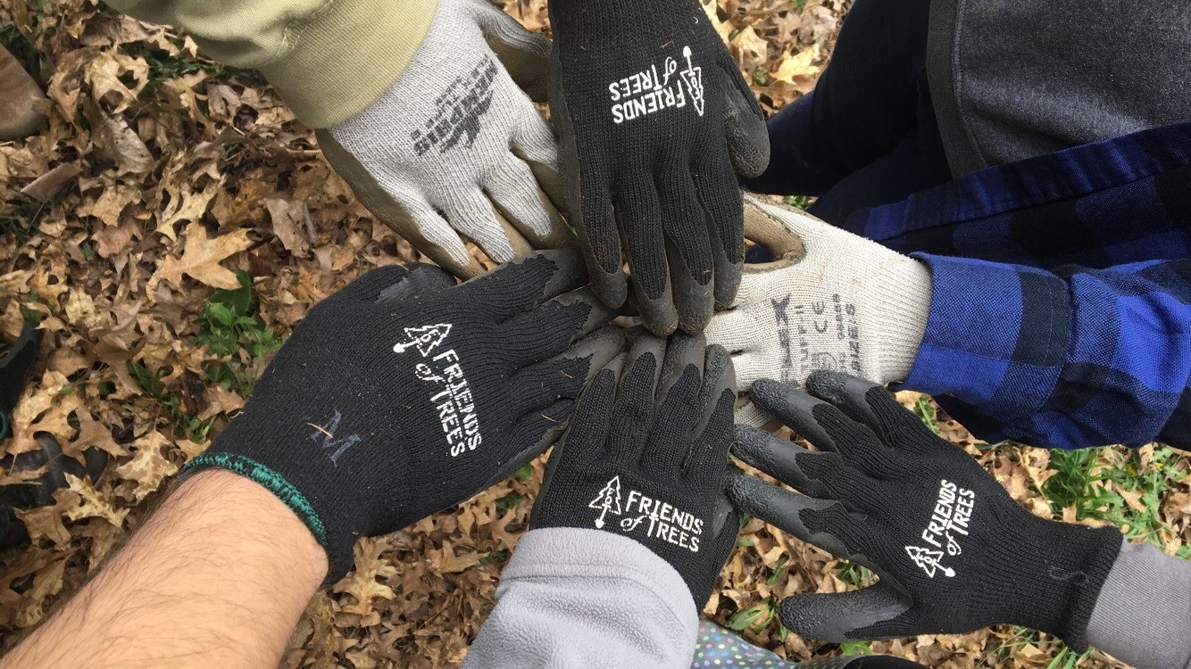 Hands in circle wearing Friends of Trees gloves